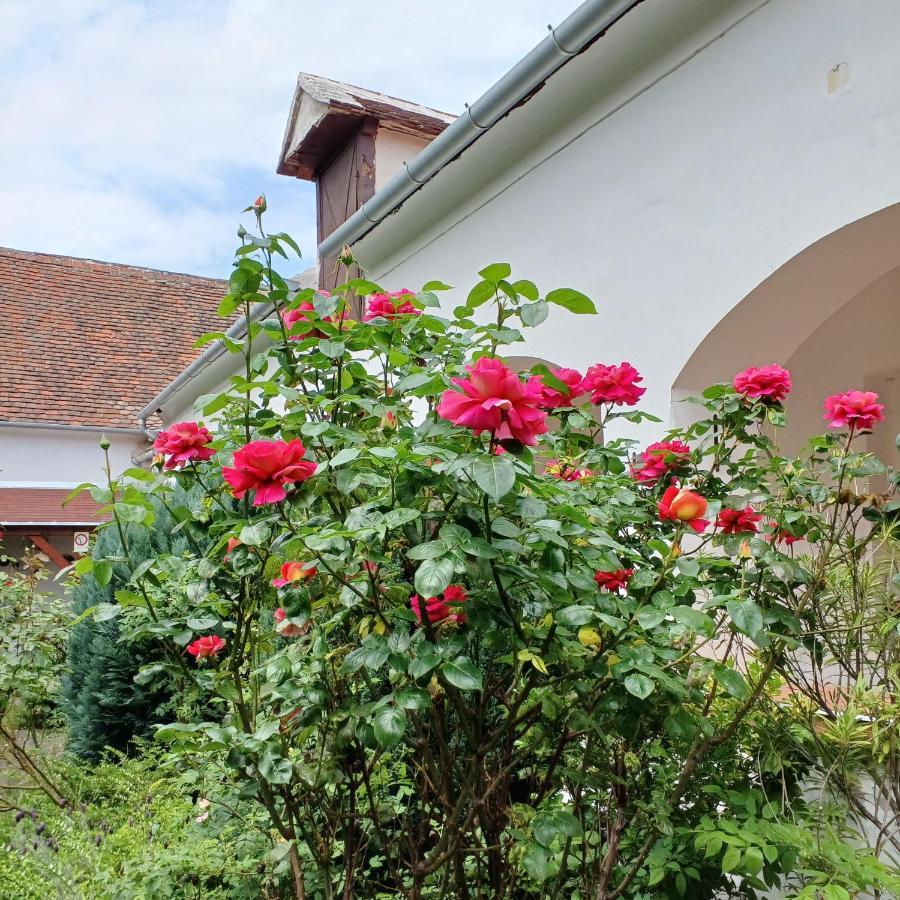 Kőszeg Blues Ryokan מראה חיצוני תמונה