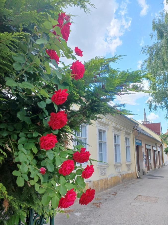 Kőszeg Blues Ryokan מראה חיצוני תמונה