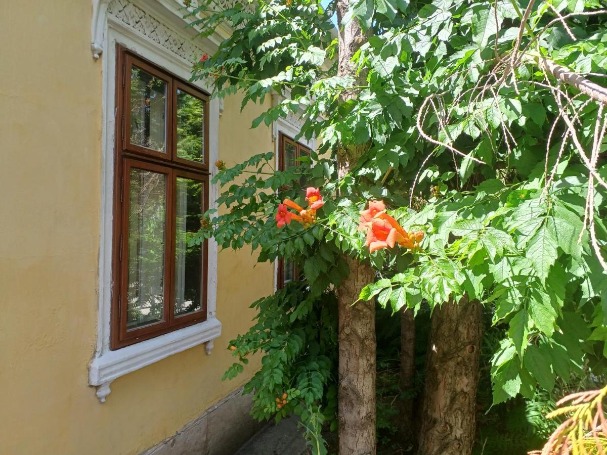 Kőszeg Blues Ryokan מראה חיצוני תמונה